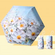 RainLab Flo-007