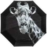 RainLab Giraffe