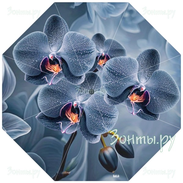 Зонт с черными оржидеями RainLab Fl-237 OrchidBlack Standard