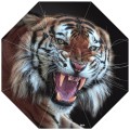 RainLab Cat-238 Tigricha