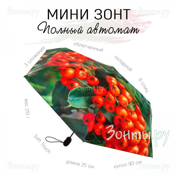 Мини зонтик Рябина RainLab 006MA Rowan полный автомат