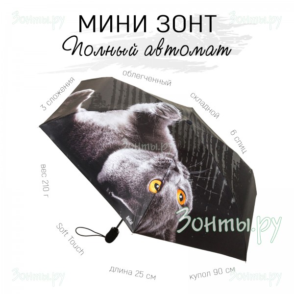 Мини зонтик Британец RainLab 087MA BritishShorthair полный автомат