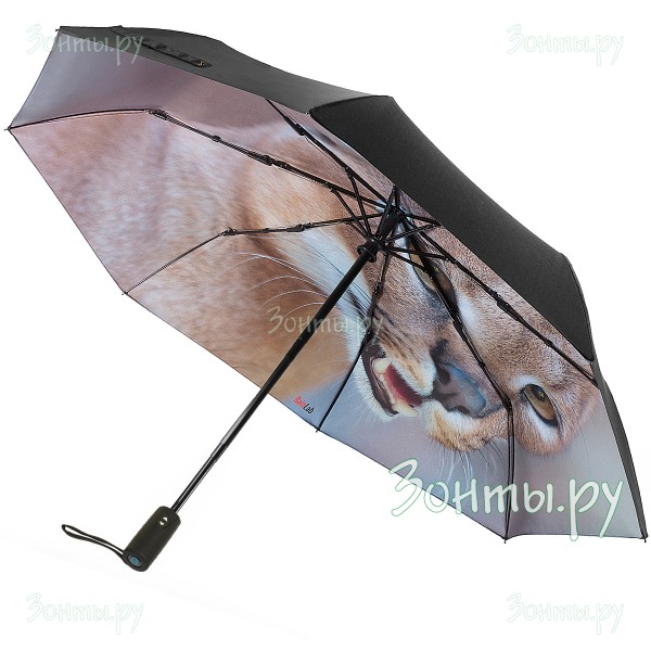 Зонтик с двумя куполами внутри каракал RainLab 044DB-Caracal Double